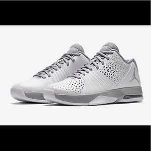 30th Anniversary Air Jordan 5 AM Wolf Grey & White